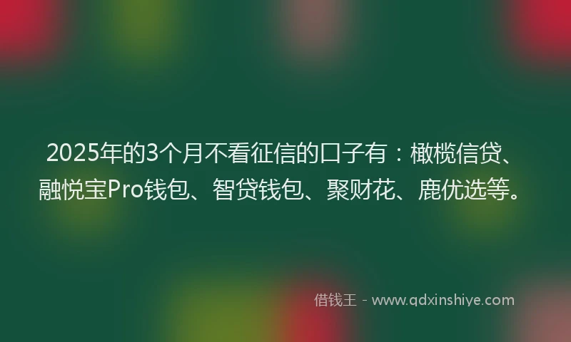2025年的3个月不看征信的口子有：橄榄信贷、融悦宝Pro钱包、智贷钱包、聚财花、鹿优选等。