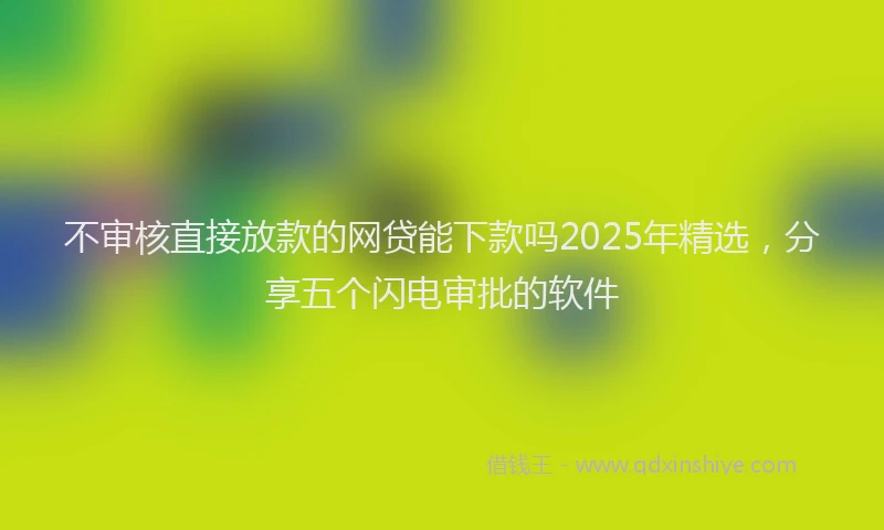 不审核直接放款的网贷能下款吗2025年精选，分享五个闪电审批的软件