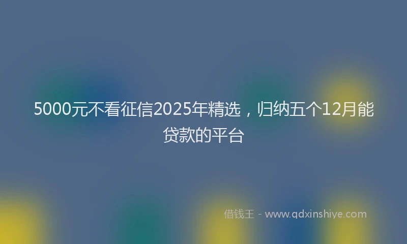 5000元不看征信2025年精选，归纳五个12月能贷款的平台