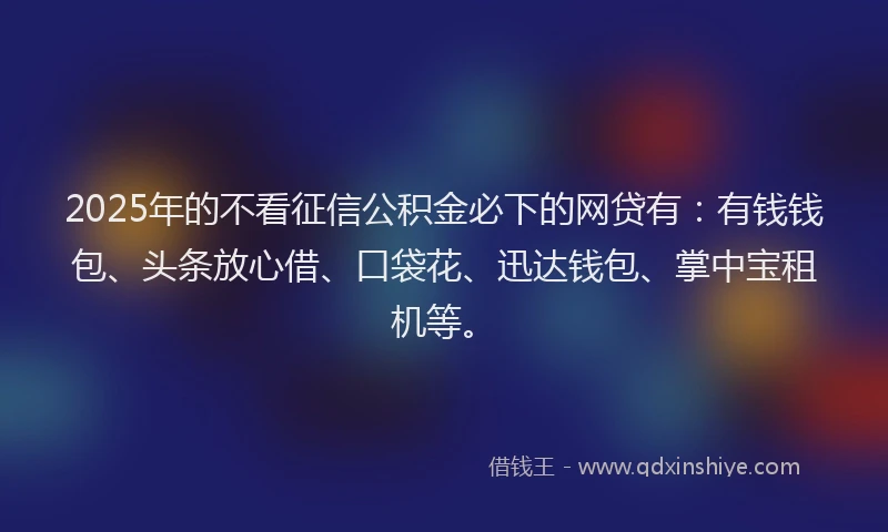 2025年的不看征信公积金必下的网贷有：有钱钱包、头条放心借、口袋花、迅达钱包、掌中宝租机等。