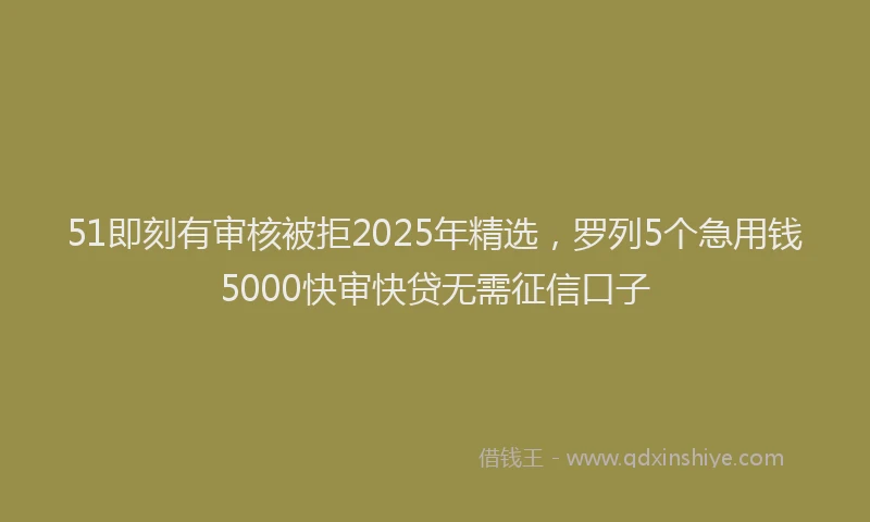 51即刻有审核被拒2025年精选，罗列5个急用钱5000快审快贷无需征信口子