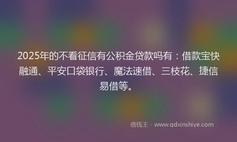 2025年的不看征信有公积金贷款吗有：借款宝快融通、平安口袋银行、魔法速借、三枝花、捷信易借等。