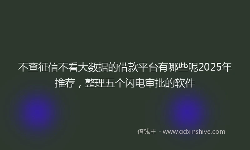 不查征信不看大数据的借款平台有哪些呢2025年推荐，整理五个闪电审批的软件