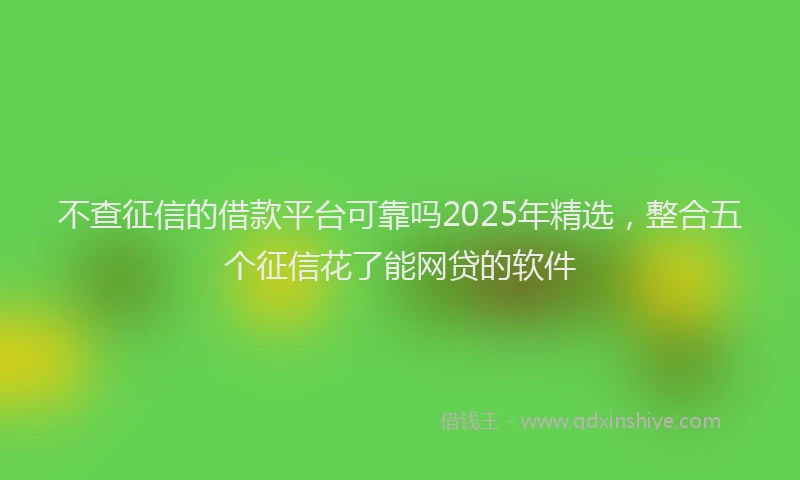 不查征信的借款平台可靠吗2025年精选，整合五个征信花了能网贷的软件
