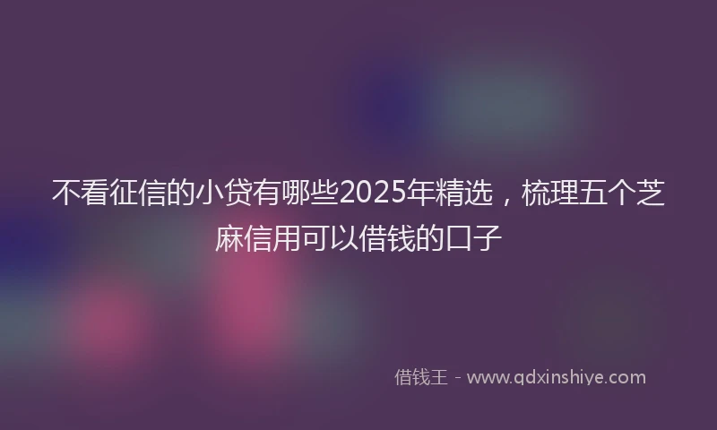 不看征信的小贷有哪些2025年精选，梳理五个芝麻信用可以借钱的口子