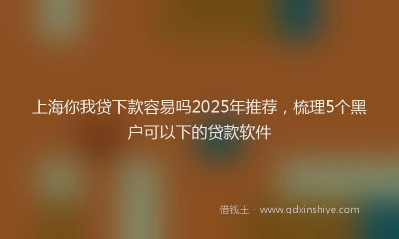 上海你我贷下款容易吗2025年推荐，梳理5个黑户可以下的贷款软件