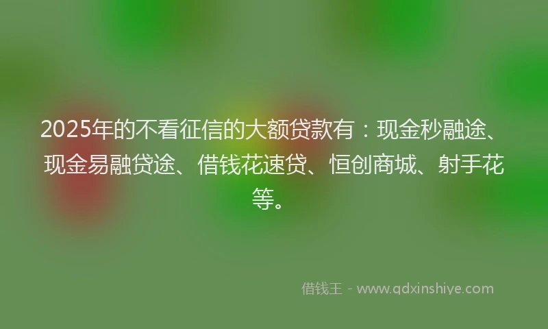 2025年的不看征信的大额贷款有：现金秒融途、现金易融贷途、借钱花速贷、恒创商城、射手花等。