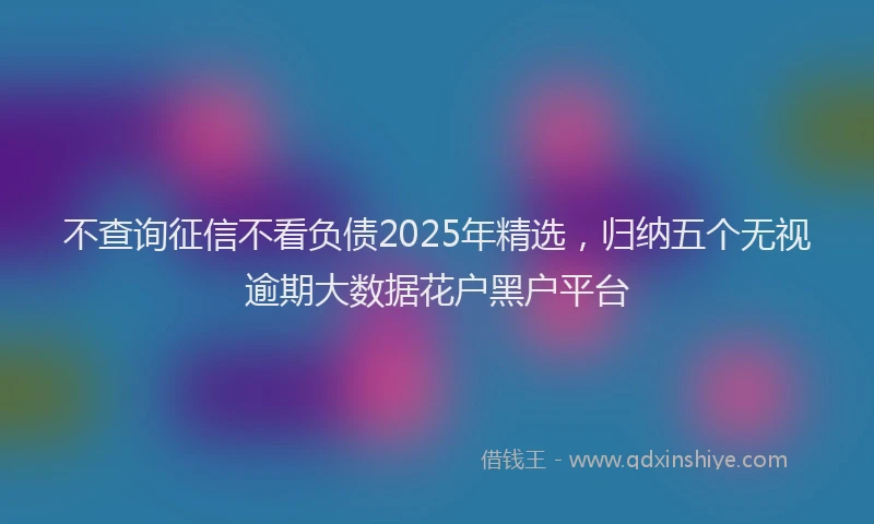 不查询征信不看负债2025年精选，归纳五个无视逾期大数据花户黑户平台