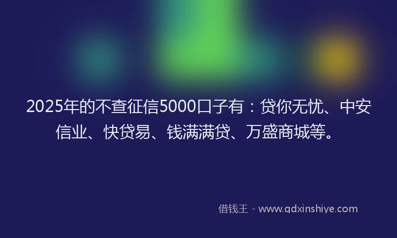 2025年的不查征信5000口子有：贷你无忧、中安信业、快贷易、钱满满贷、万盛商城等。