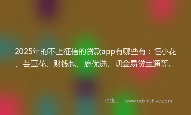 2025年的不上征信的贷款app有哪些有：恒小花、芸豆花、财钱包、鹿优选、现金易贷宝通等。