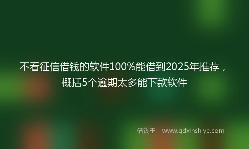 不看征信借钱的软件100%能借到2025年推荐，概括5个逾期太多能下款软件