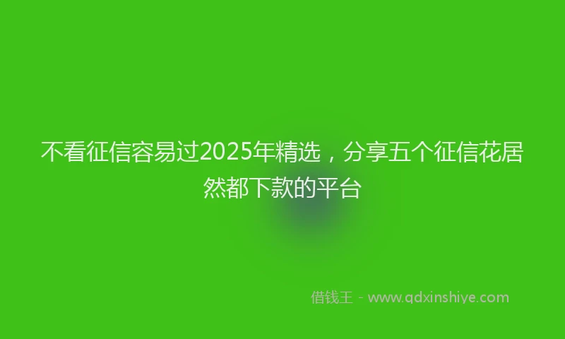 不看征信容易过2025年精选，分享五个征信花居然都下款的平台