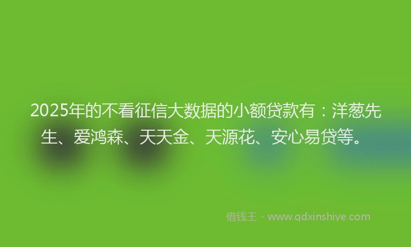 2025年的不看征信大数据的小额贷款有：洋葱先生、爱鸿森、天天金、天源花、安心易贷等。