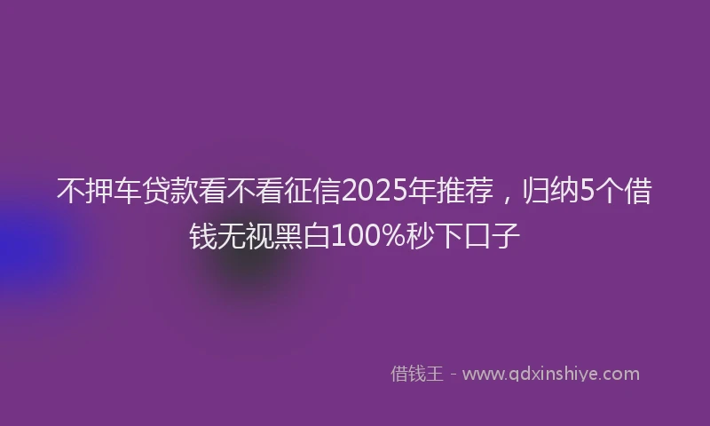 不押车贷款看不看征信2025年推荐，归纳5个借钱无视黑白100%秒下口子