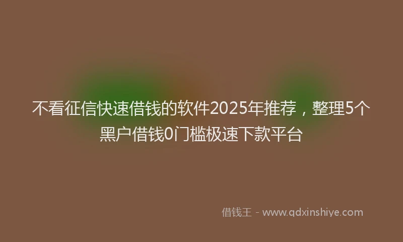 不看征信快速借钱的软件2025年推荐，整理5个黑户借钱0门槛极速下款平台