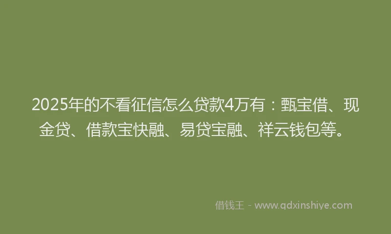 2025年的不看征信怎么贷款4万有：甄宝借、现金贷、借款宝快融、易贷宝融、祥云钱包等。