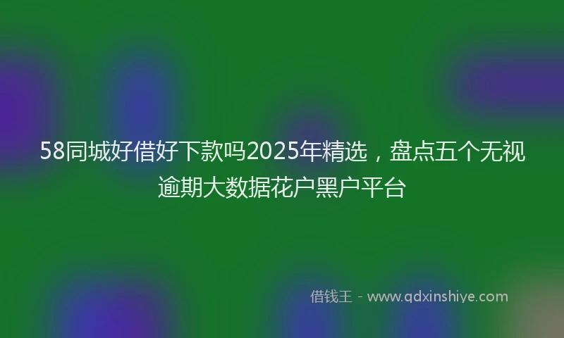 58同城好借好下款吗2025年精选，盘点五个无视逾期大数据花户黑户平台