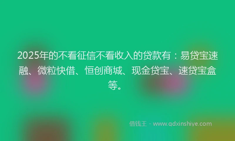 2025年的不看征信不看收入的贷款有：易贷宝速融、微粒快借、恒创商城、现金贷宝、速贷宝盒等。
