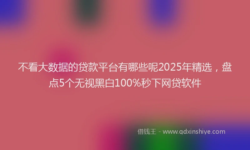 不看大数据的贷款平台有哪些呢2025年精选，盘点5个无视黑白100%秒下网贷软件