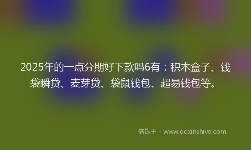2025年的一点分期好下款吗6有：积木盒子、钱袋瞬贷、麦芽贷、袋鼠钱包、超易钱包等。