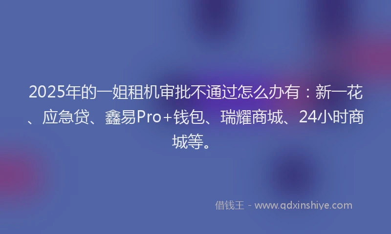 2025年的一姐租机审批不通过怎么办有：新一花、应急贷、鑫易Pro+钱包、瑞耀商城、24小时商城等。