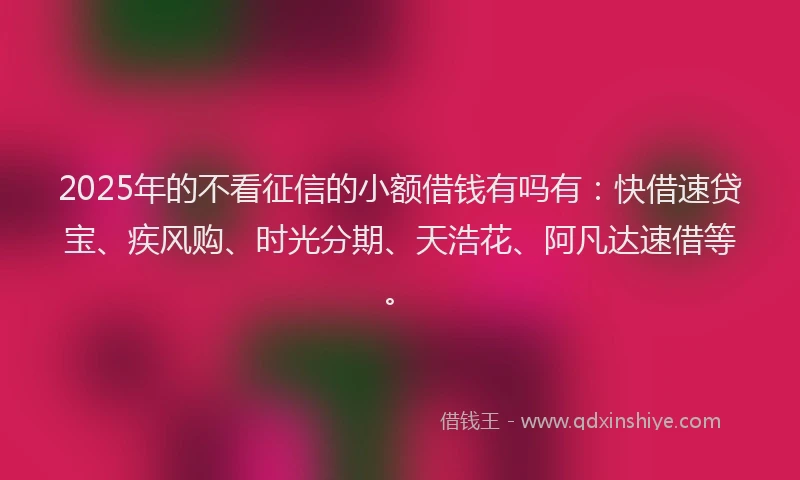 2025年的不看征信的小额借钱有吗有：快借速贷宝、疾风购、时光分期、天浩花、阿凡达速借等。