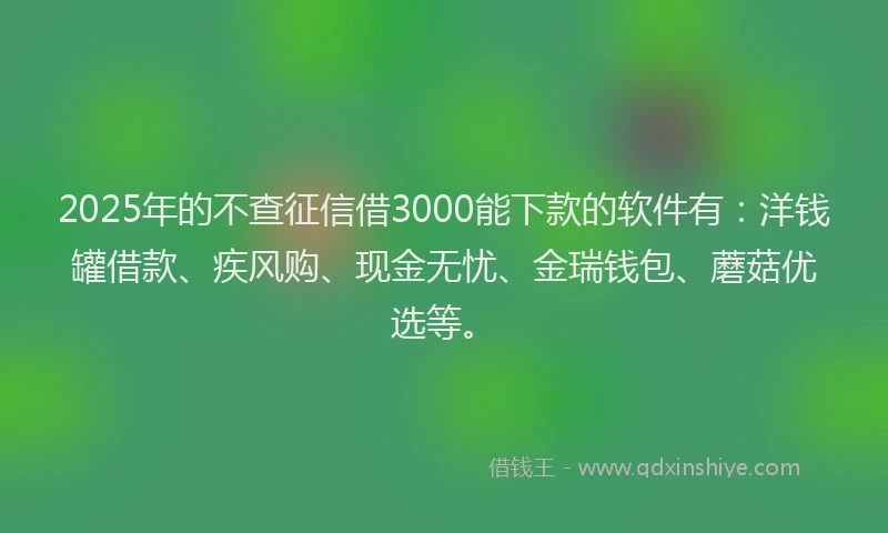 2025年的不查征信借3000能下款的软件有：洋钱罐借款、疾风购、现金无忧、金瑞钱包、蘑菇优选等。