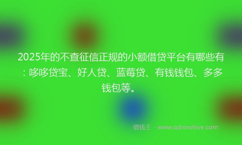 2025年的不查征信正规的小额借贷平台有哪些有：哆哆贷宝、好人贷、蓝莓贷、有钱钱包、多多钱包等。