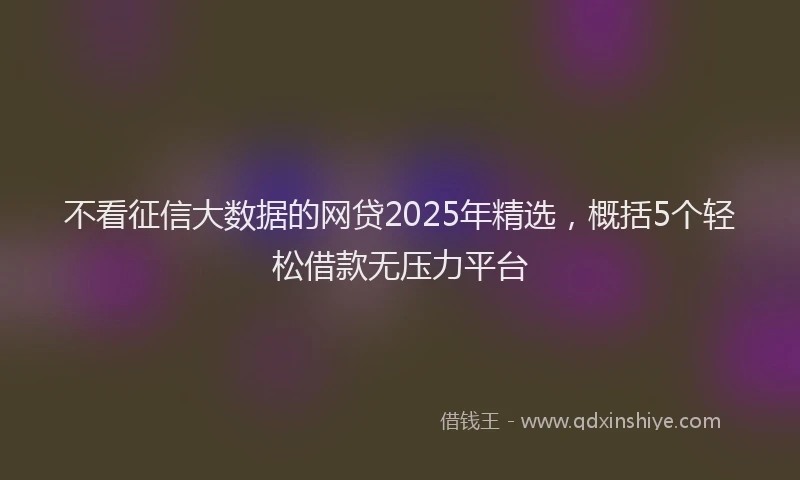 不看征信大数据的网贷2025年精选，概括5个轻松借款无压力平台