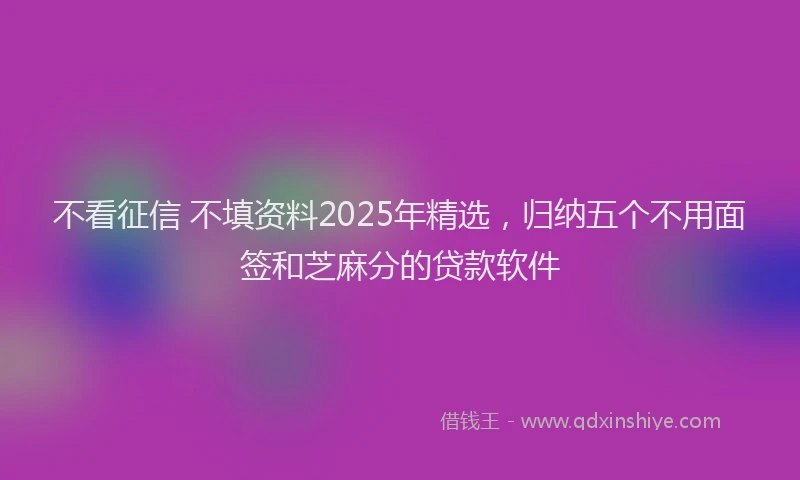 不看征信 不填资料2025年精选，归纳五个不用面签和芝麻分的贷款软件