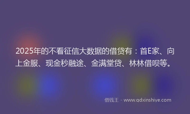 2025年的不看征信大数据的借贷有：首E家、向上金服、现金秒融途、金满堂贷、林林借呗等。