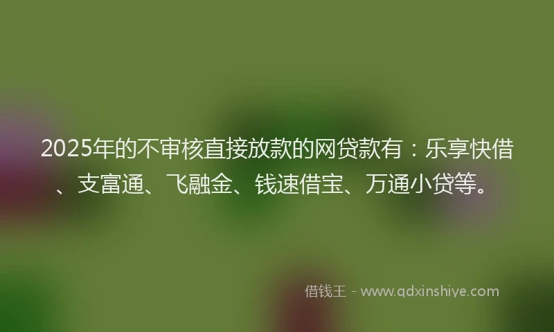 2025年的不审核直接放款的网贷款有：乐享快借、支富通、飞融金、钱速借宝、万通小贷等。