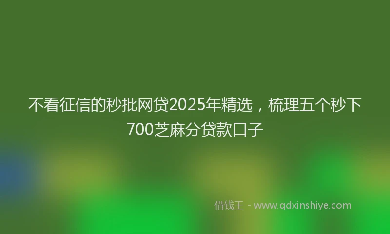 不看征信的秒批网贷2025年精选，梳理五个秒下700芝麻分贷款口子