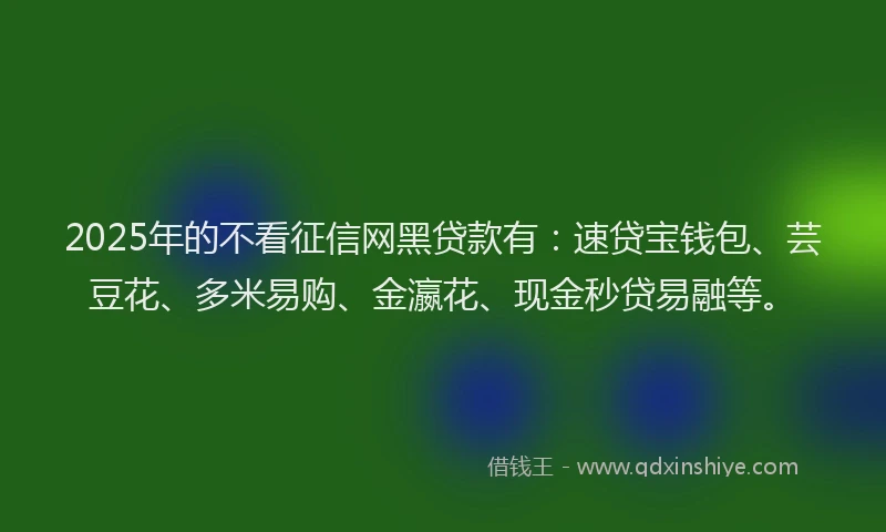 2025年的不看征信网黑贷款有：速贷宝钱包、芸豆花、多米易购、金瀛花、现金秒贷易融等。