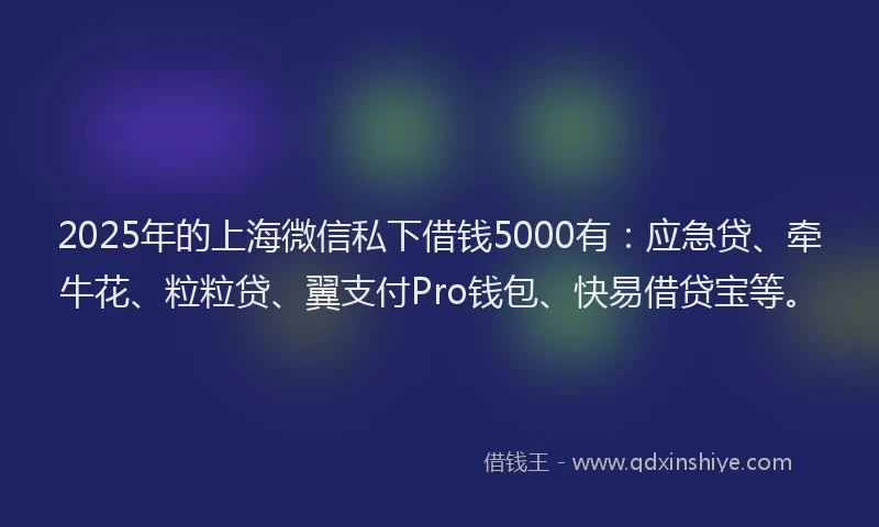 2025年的上海微信私下借钱5000有：应急贷、牵牛花、粒粒贷、翼支付Pro钱包、快易借贷宝等。