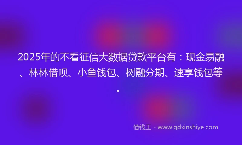 2025年的不看征信大数据贷款平台有：现金易融、林林借呗、小鱼钱包、树融分期、速享钱包等。