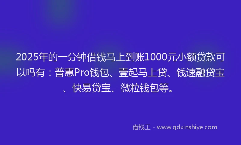 2025年的一分钟借钱马上到账1000元小额贷款可以吗有：普惠Pro钱包、壹起马上贷、钱速融贷宝、快易贷宝、微粒钱包等。