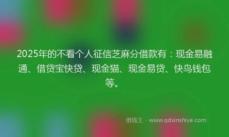 2025年的不看个人征信芝麻分借款有：现金易融通、借贷宝快贷、现金猫、现金易贷、快鸟钱包等。