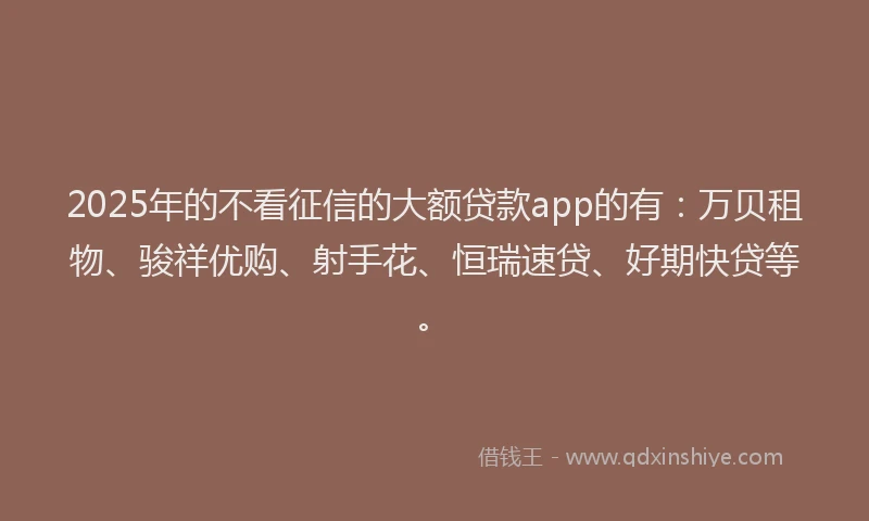 2025年的不看征信的大额贷款app的有：万贝租物、骏祥优购、射手花、恒瑞速贷、好期快贷等。