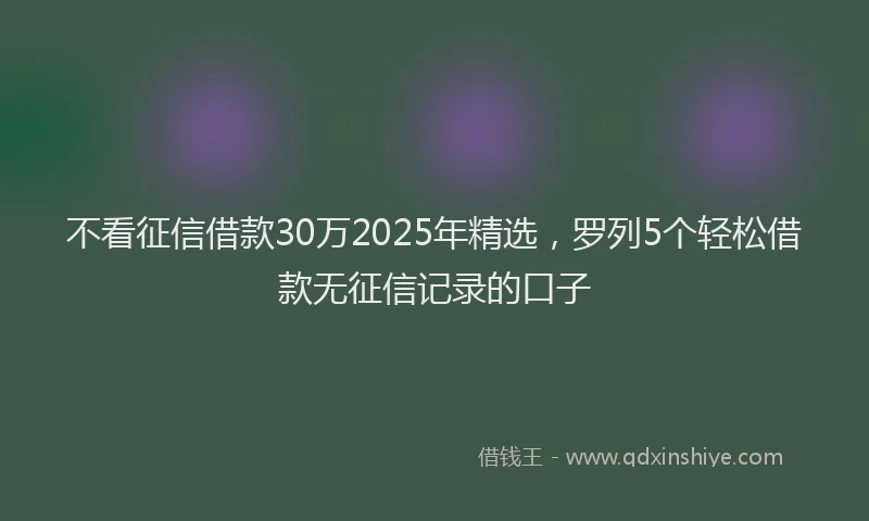 不看征信借款30万2025年精选，罗列5个轻松借款无征信记录的口子