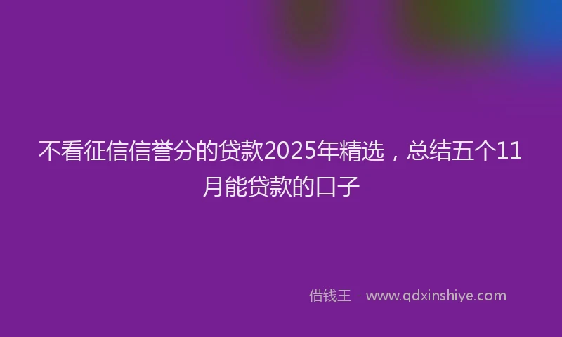 不看征信信誉分的贷款2025年精选，总结五个11月能贷款的口子
