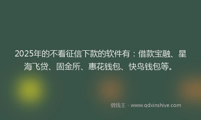 2025年的不看征信下款的软件有：借款宝融、星海飞贷、固金所、惠花钱包、快鸟钱包等。