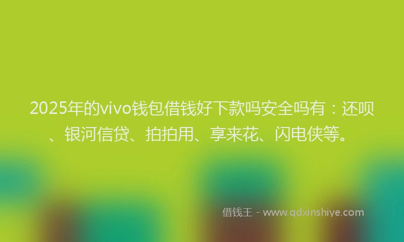 2025年的vivo钱包借钱好下款吗安全吗有：还呗、银河信贷、拍拍用、享来花、闪电侠等。