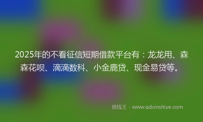 2025年的不看征信短期借款平台有：龙龙用、森森花呗、滴滴数科、小金鹿贷、现金易贷等。