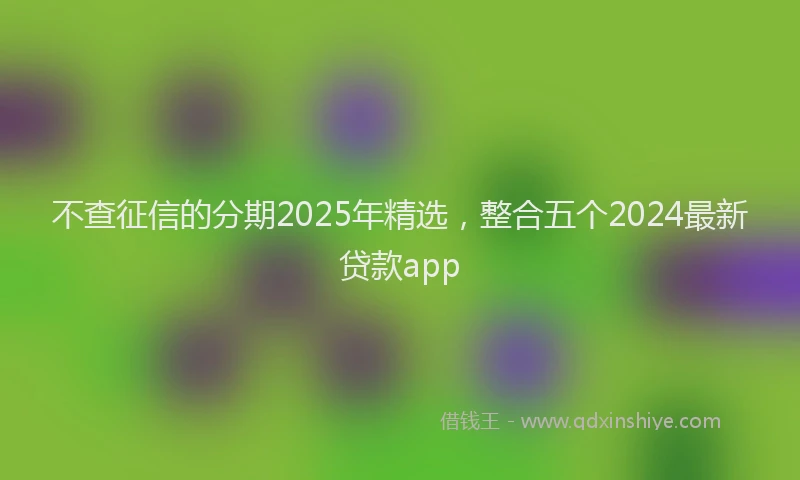 不查征信的分期2025年精选，整合五个2024最新贷款app