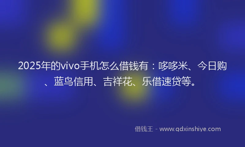 2025年的vivo手机怎么借钱有：哆哆米、今日购、蓝鸟信用、吉祥花、乐借速贷等。
