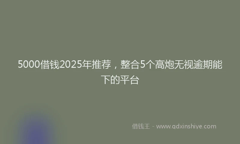 5000借钱2025年推荐，整合5个高炮无视逾期能下的平台