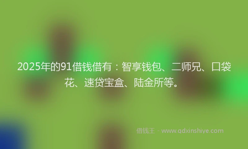 2025年的91借钱借有：智享钱包、二师兄、口袋花、速贷宝盒、陆金所等。