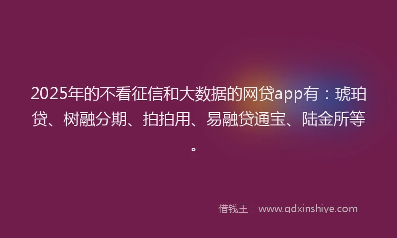 2025年的不看征信和大数据的网贷app有：琥珀贷、树融分期、拍拍用、易融贷通宝、陆金所等。