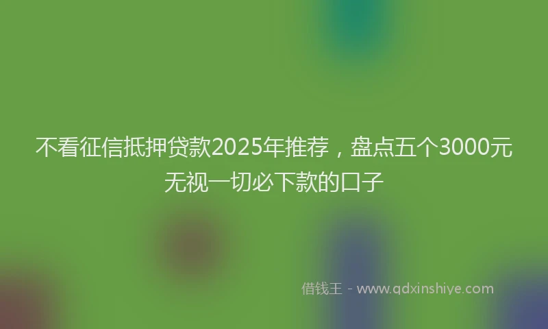不看征信抵押贷款2025年推荐，盘点五个3000元无视一切必下款的口子